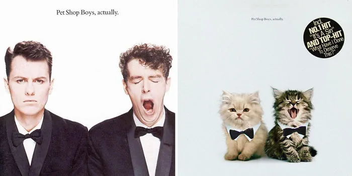 Someone Is Replacing Musicians With Cats In Famous Album Covers, And Result Is Better Than Original