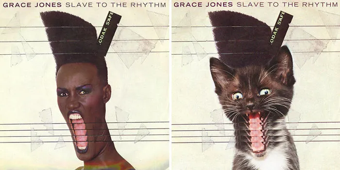 Someone Is Replacing Musicians With Cats In Famous Album Covers, And Result Is Better Than Original