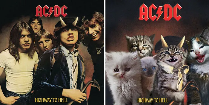 Someone Is Replacing Musicians With Cats In Famous Album Covers, And Result Is Better Than Original