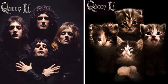 Someone Is Replacing Musicians With Cats In Famous Album Covers, And Result Is Better Than Original