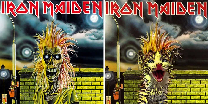 Someone Is Replacing Musicians With Cats In Famous Album Covers, And Result Is Better Than Original