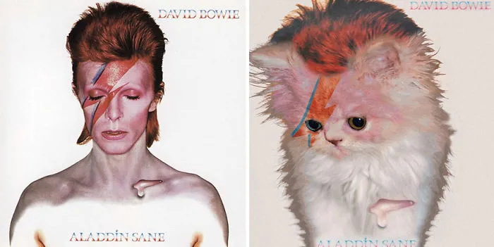 Someone Is Replacing Musicians With Cats In Famous Album Covers, And Result Is Better Than Original