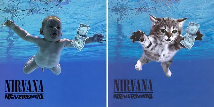 Someone Is Replacing Musicians With Cats In Famous Album Covers, And Result Is Better Than Original