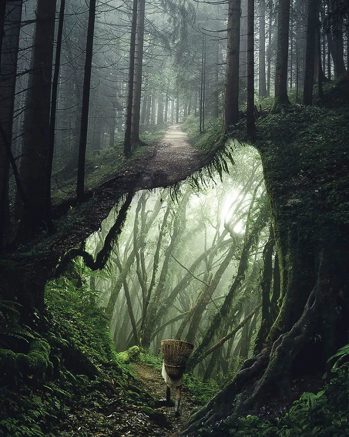 Underforest