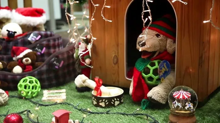 This Christmas Video Starring My Dogs Will Make You Believe In Miracles!