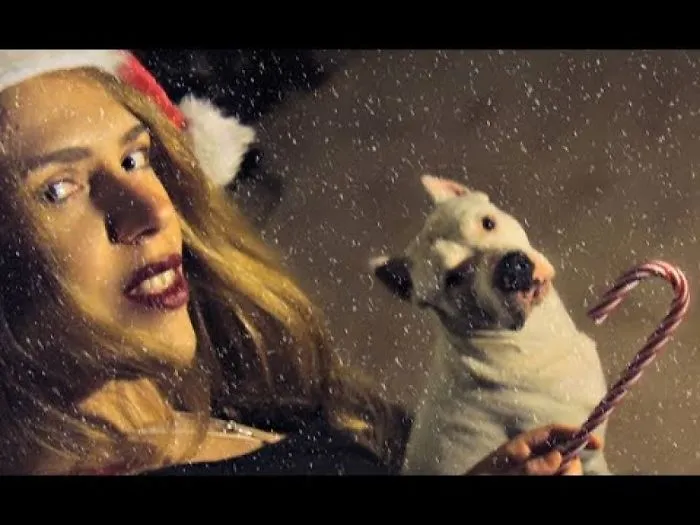 When Your Dog Love Christmas Or Not..!!