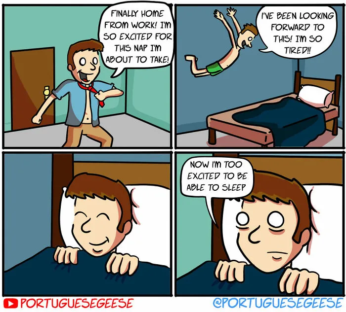 21 Funny And Socially Awkward Comics By Portuguese Geese