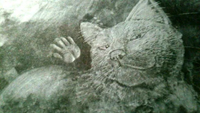 This Lady Draws On Her Carpet And The Result Is So Good, You'll Never Want To Step On It
