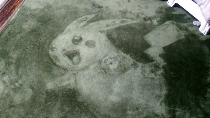 This Lady Draws On Her Carpet And The Result Is So Good, You'll Never Want To Step On It