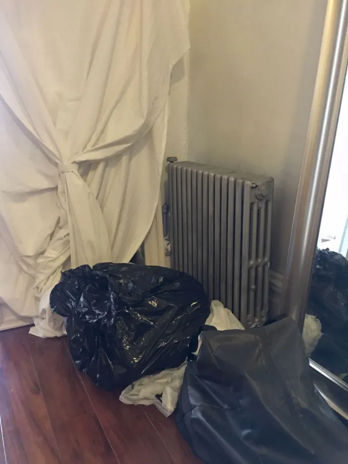 Almost Nobody Could Find The Cat In This Picture, And Her Owner Posted A Whole Gallery Of Her Ninja Cat