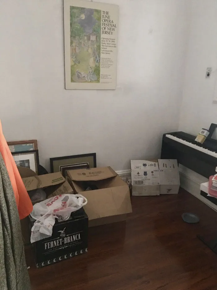 Almost Nobody Could Find The Cat In This Picture, And Her Owner Posted A Whole Gallery Of Her Ninja Cat