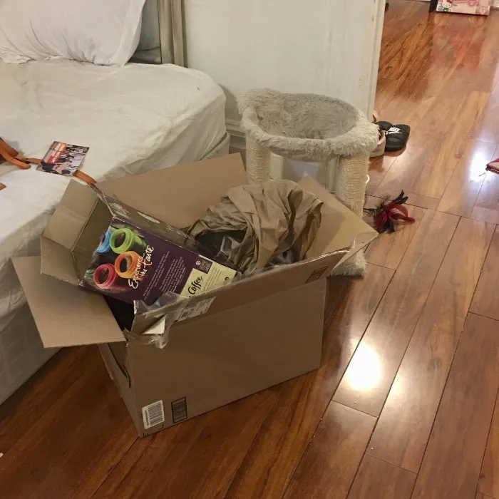 Almost Nobody Could Find The Cat In This Picture, And Her Owner Posted A Whole Gallery Of Her Ninja Cat