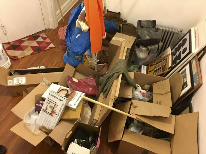 Almost Nobody Could Find The Cat In This Picture, And Her Owner Posted A Whole Gallery Of Her Ninja Cat
