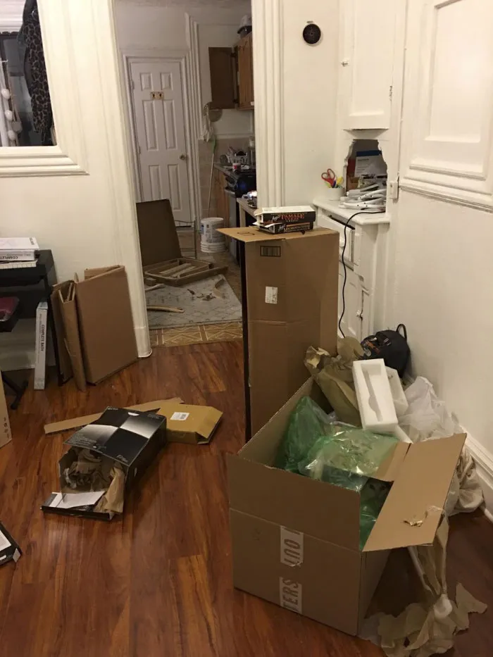 Almost Nobody Could Find The Cat In This Picture, And Her Owner Posted A Whole Gallery Of Her Ninja Cat