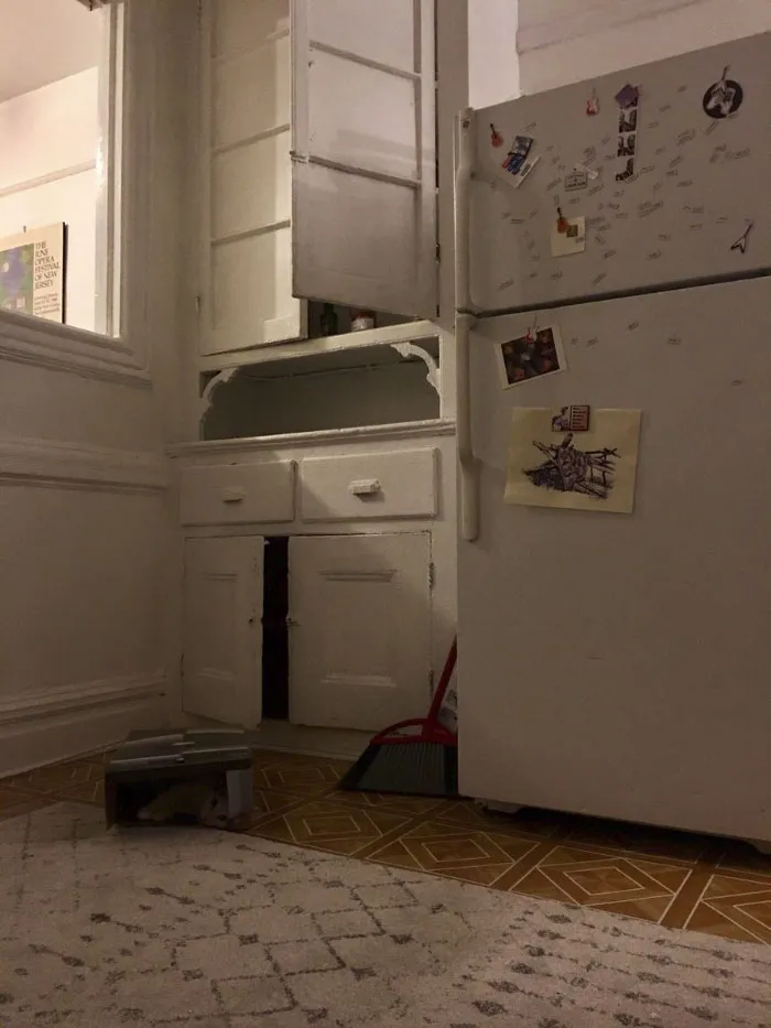Almost Nobody Could Find The Cat In This Picture, And Her Owner Posted A Whole Gallery Of Her Ninja Cat