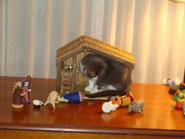 This Is My House Now
