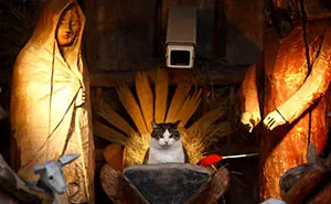 40 Times Cats Hilariously Crashed Nativity Scenes