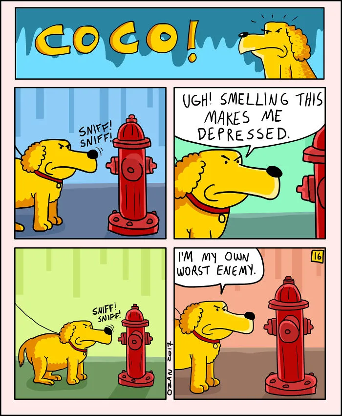 17 Hilariously Pessimistic Comics About Coco The Jolly Dog That Every Pessimist Will Relate To