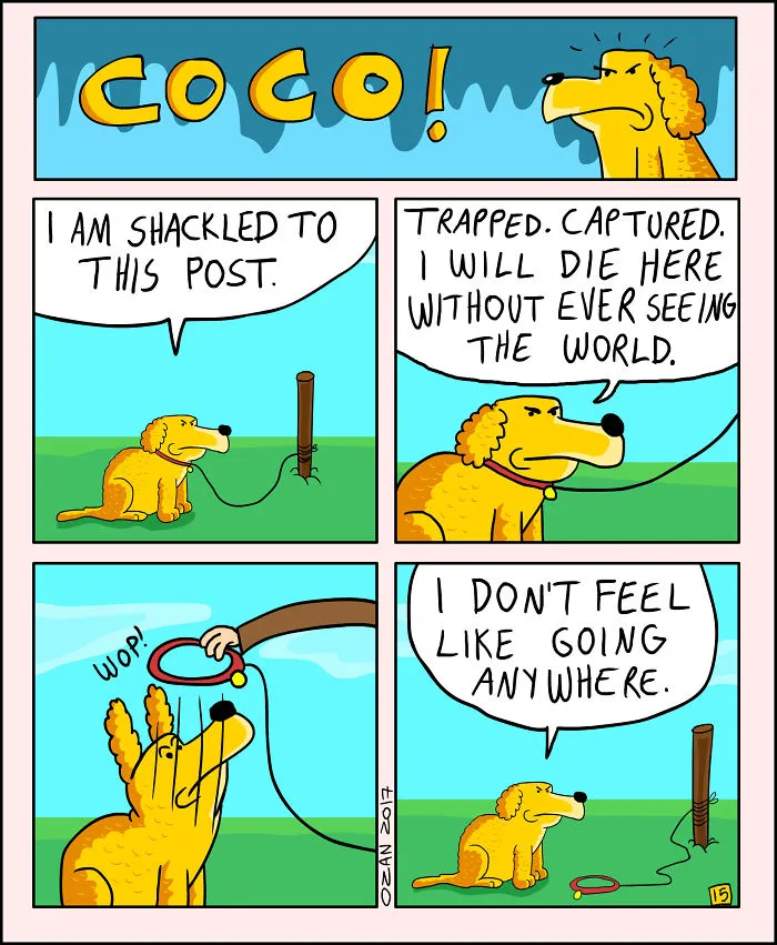 17 Hilariously Pessimistic Comics About Coco The Jolly Dog That Every Pessimist Will Relate To
