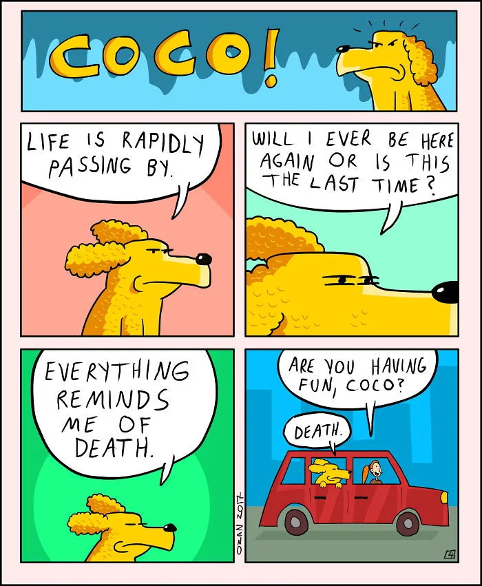 17 Hilariously Pessimistic Comics About Coco The Jolly Dog That Every Pessimist Will Relate To