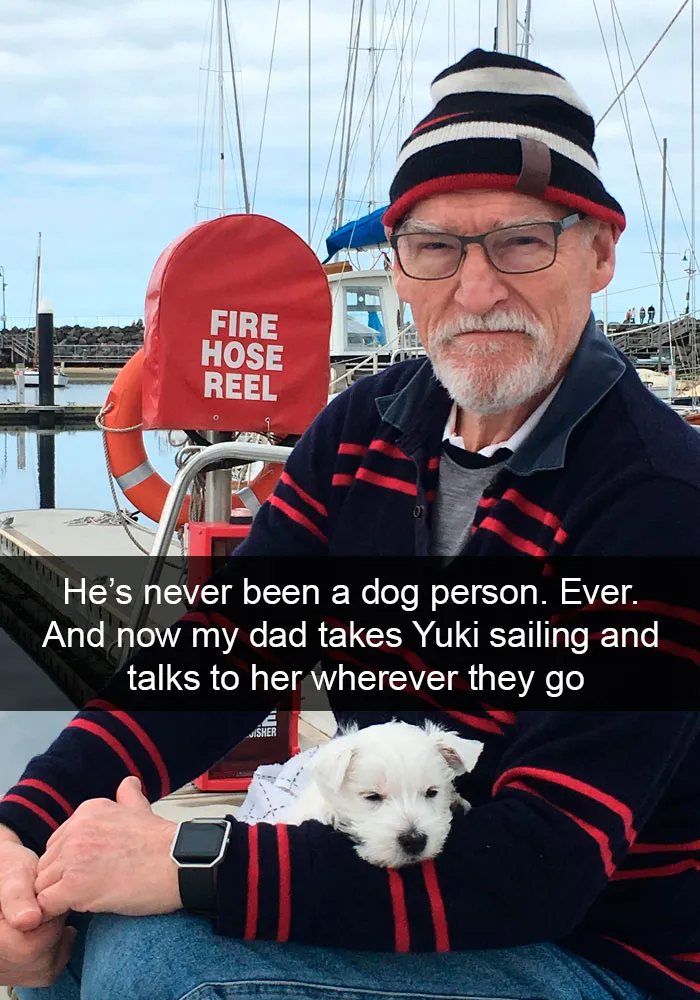 191 Hilarious Dog Snapchats That Are Impawsible Not To Laugh At (Part 4)