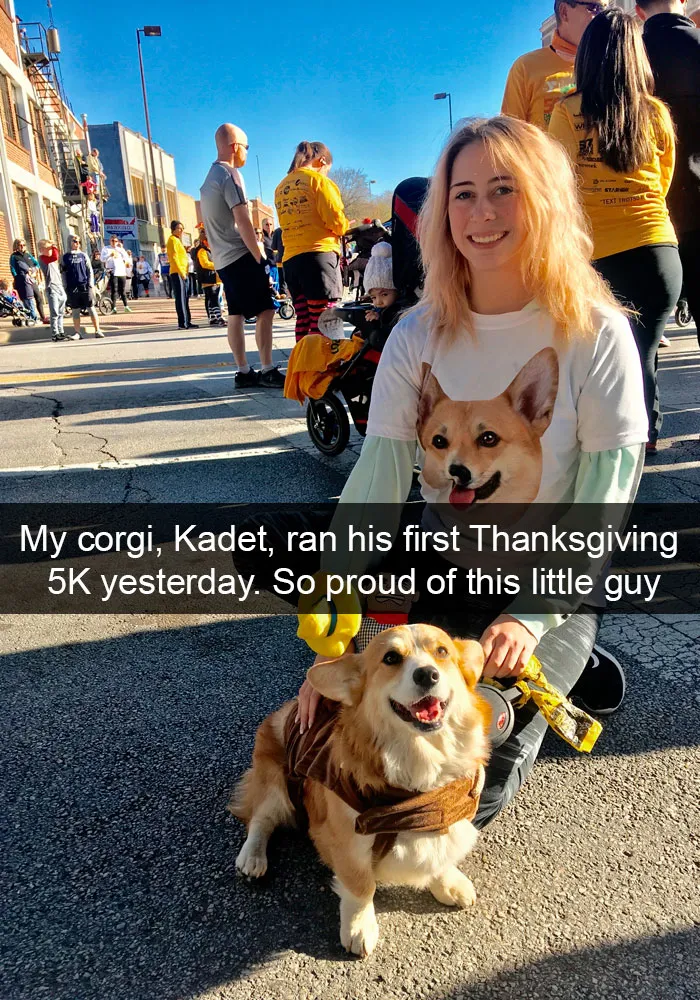 191 Hilarious Dog Snapchats That Are Impawsible Not To Laugh At (Part 4)