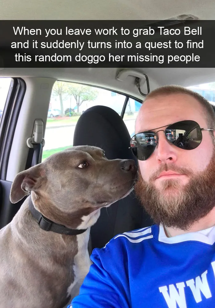 191 Hilarious Dog Snapchats That Are Impawsible Not To Laugh At (Part 4)