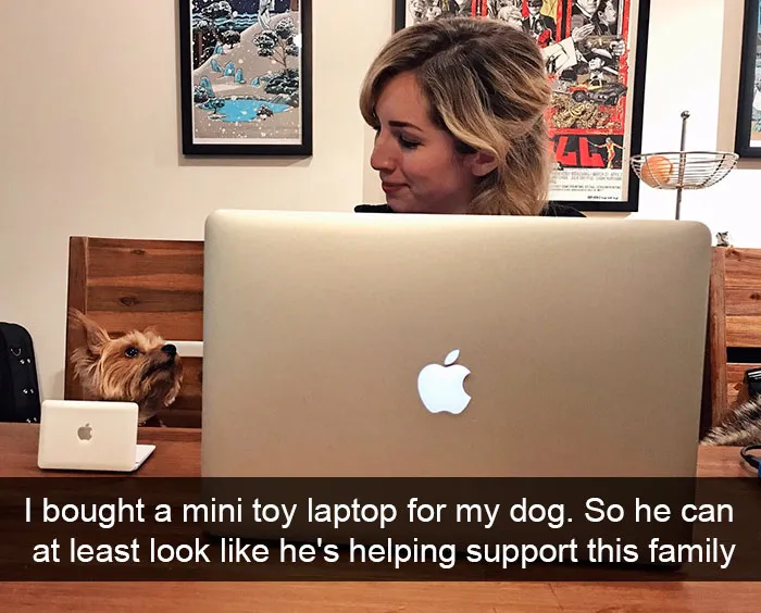 191 Hilarious Dog Snapchats That Are Impawsible Not To Laugh At (Part 4)