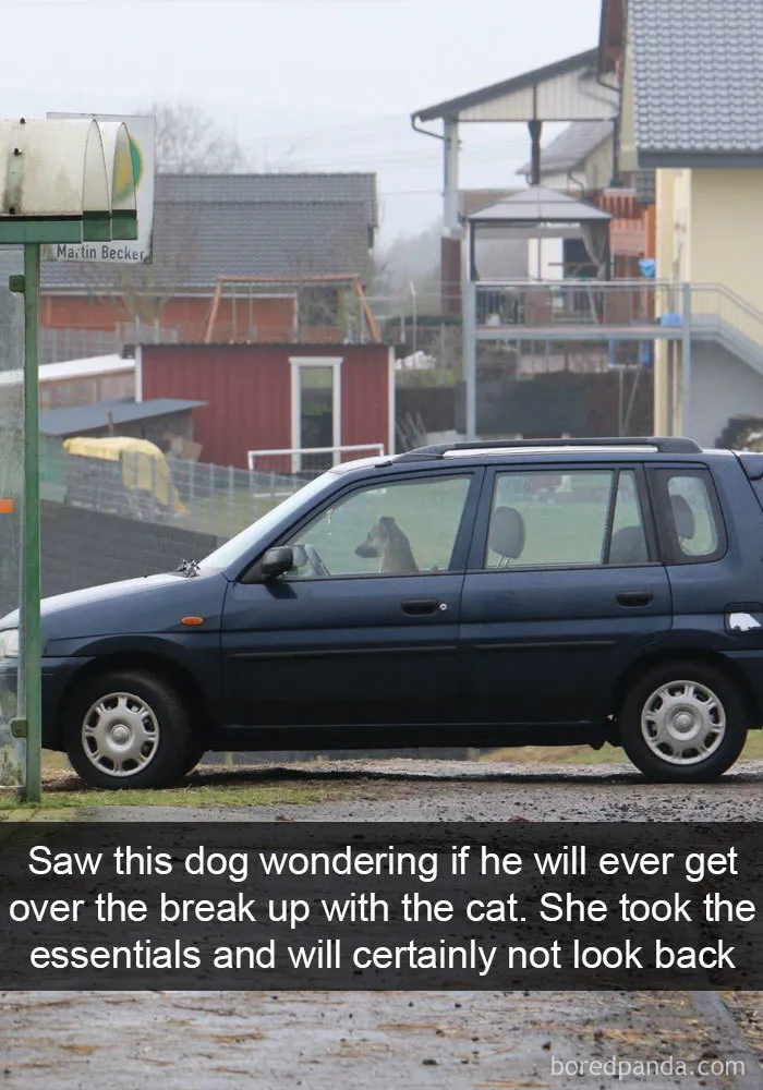 191 Hilarious Dog Snapchats That Are Impawsible Not To Laugh At (Part 4)