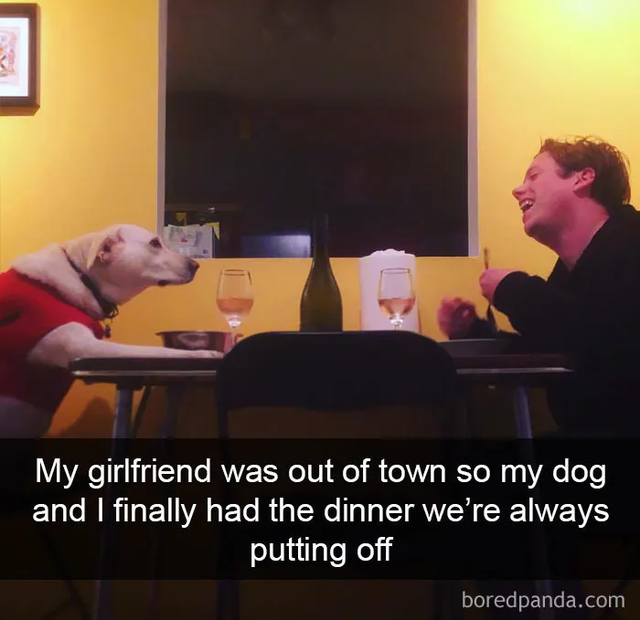 191 Hilarious Dog Snapchats That Are Impawsible Not To Laugh At (Part 4)