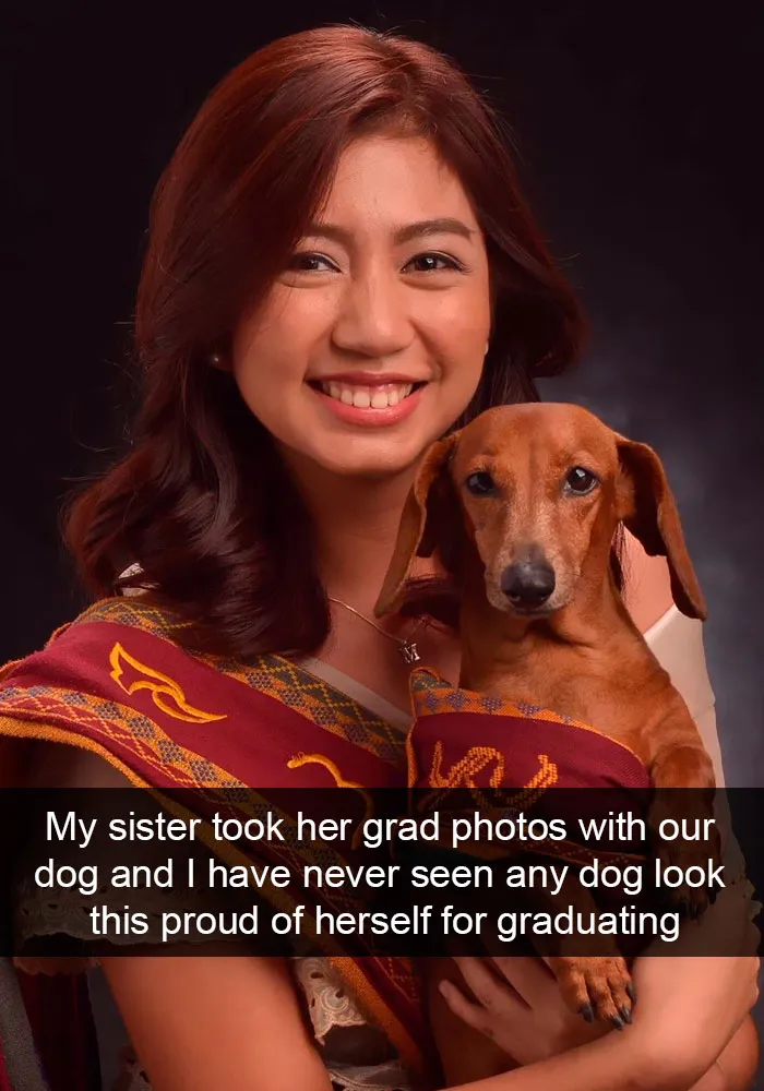 191 Hilarious Dog Snapchats That Are Impawsible Not To Laugh At (Part 4)