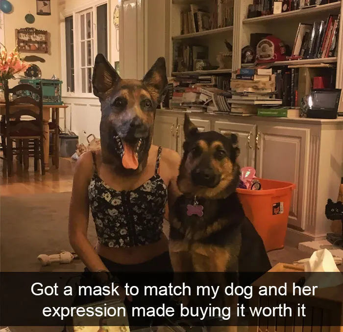 191 Hilarious Dog Snapchats That Are Impawsible Not To Laugh At (Part 4)