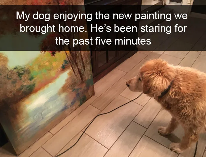 191 Hilarious Dog Snapchats That Are Impawsible Not To Laugh At (Part 4)