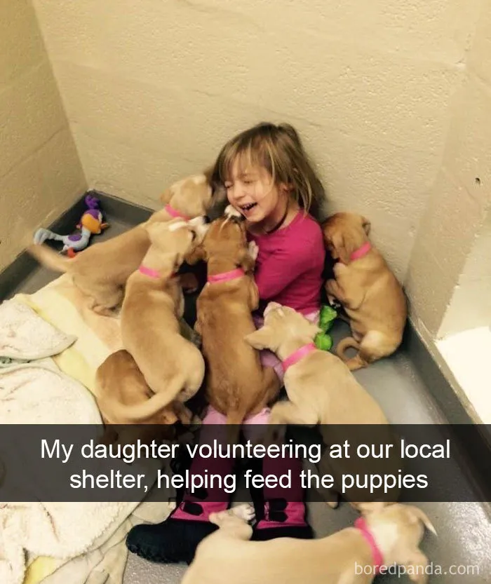 191 Hilarious Dog Snapchats That Are Impawsible Not To Laugh At (Part 4)