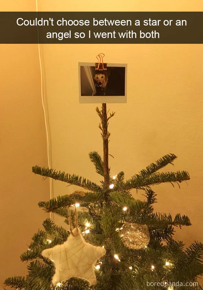 191 Hilarious Dog Snapchats That Are Impawsible Not To Laugh At (Part 4)