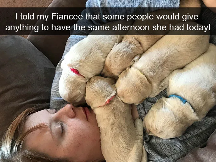 191 Hilarious Dog Snapchats That Are Impawsible Not To Laugh At (Part 4)