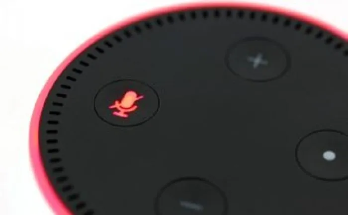 Controlling The Home Through Voice Activators