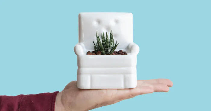 Relaaax And Make Your Plants Comfortable
