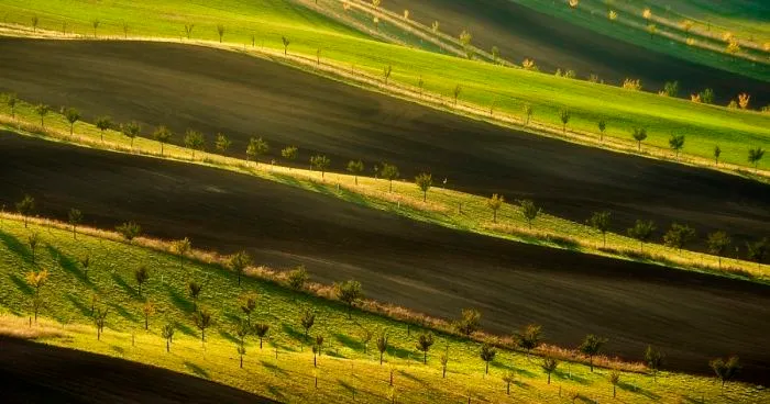 I Traveled To The Czech Republic To Photograph Moravian-Tuscany In Autumn