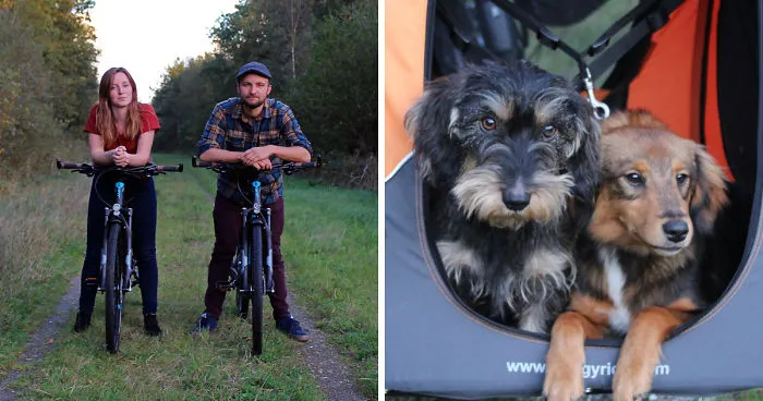 Bike Expedition Around The World  With 2 Dogs