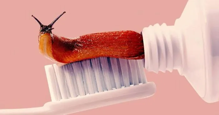 This Artist Combines Unexpected Objects Into Mind-Boggling Images