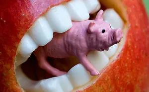 175 Weird Photos You Won’t Be Able to Forget