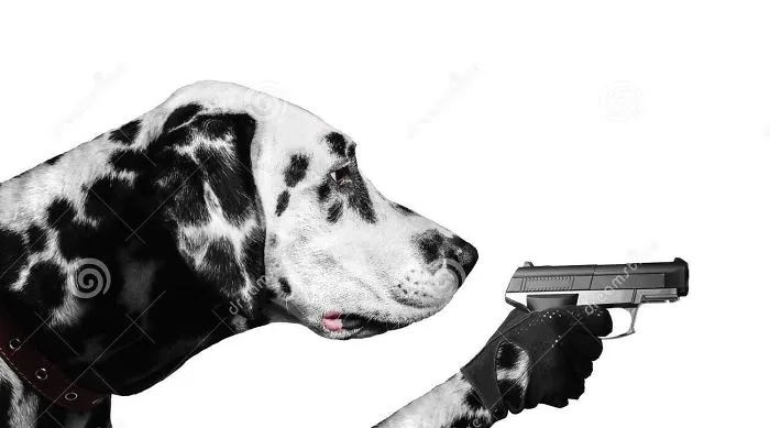 Dalmantine holding a gun