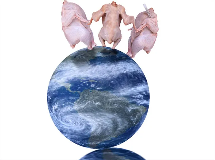 Pollos muertos bailando sobre la Tierra