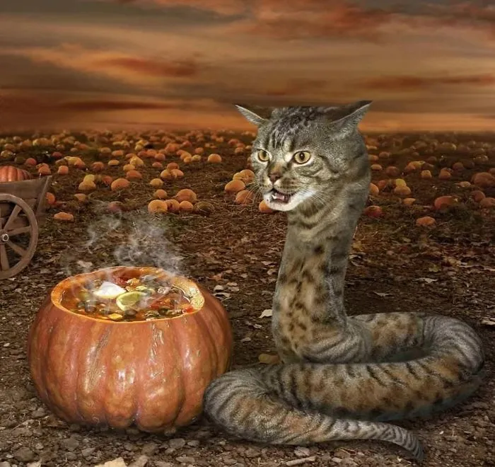 Gato serpiente preparando una poción mágica