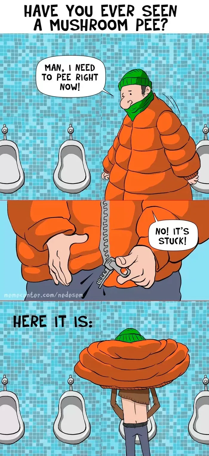 50 Funny Comics About Winter Problems That Almost Everyone Will Relate To