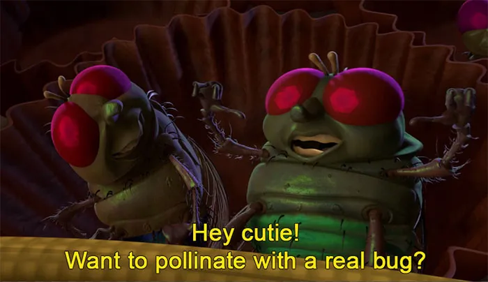 When Francis Was Propositioned By A Fly