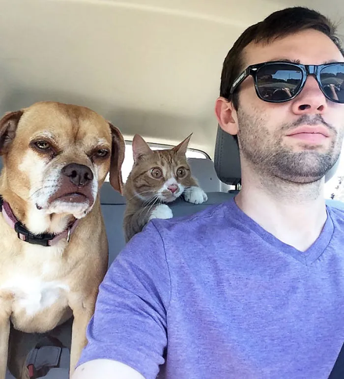 ¿Cuál de ellos va al veterinario por 1ª vez?