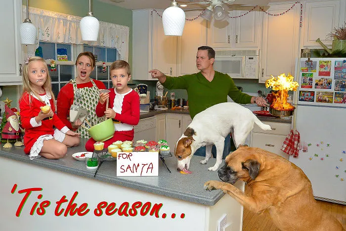 'Tis The Season...