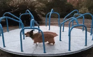 Running Dog